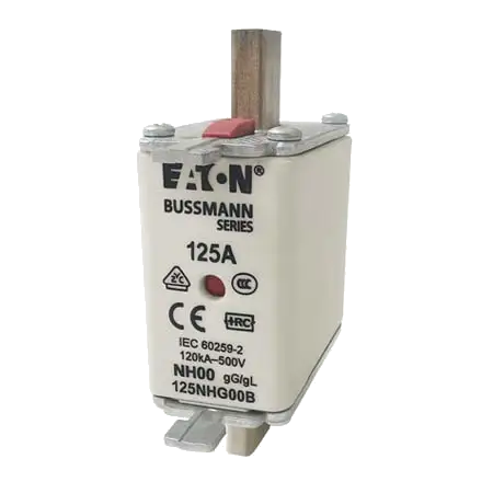 NH00 125A Fuse