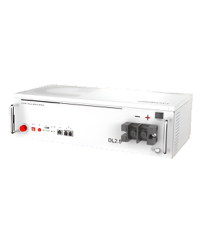 Dyness 2.56kWh DL Lithium Battery
