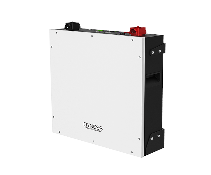 Dyness 5.12kWh Wall-mount Lithium Battery